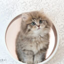 ブリティッシュ