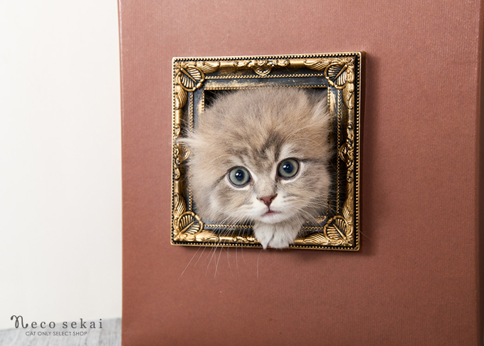 ブリティッシュ