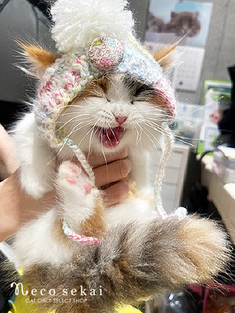 ミヌエット